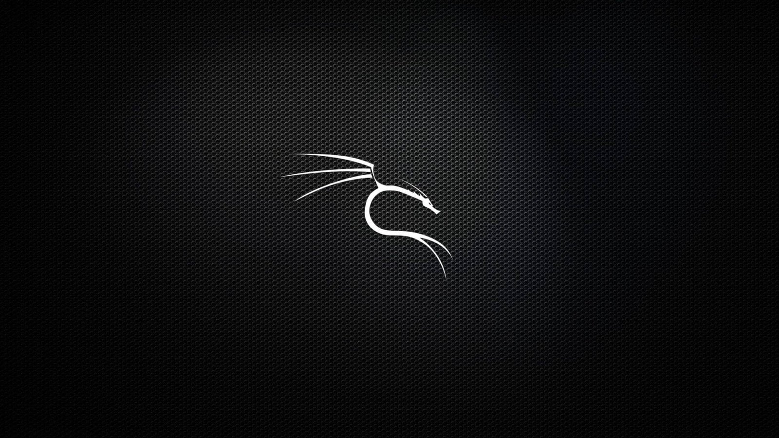 How to Install Kali Linux 2024 on Vmware (Just in minute)