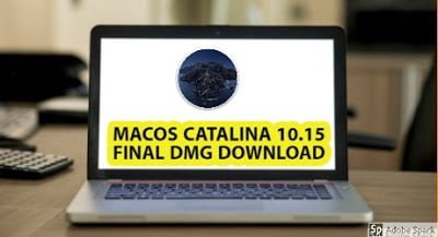 MacOS Catalina 10.15 Final Dmg Download Google Drive 2020