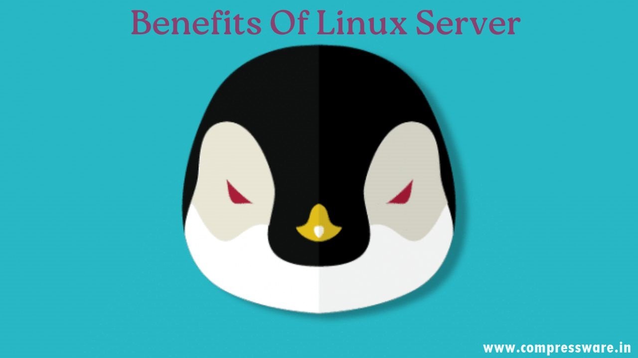 3 Benefits of Using a Linux Server (benefit you loves)
